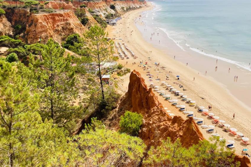 "Casa da Horta 2" mit Wi-Fi - foto 15