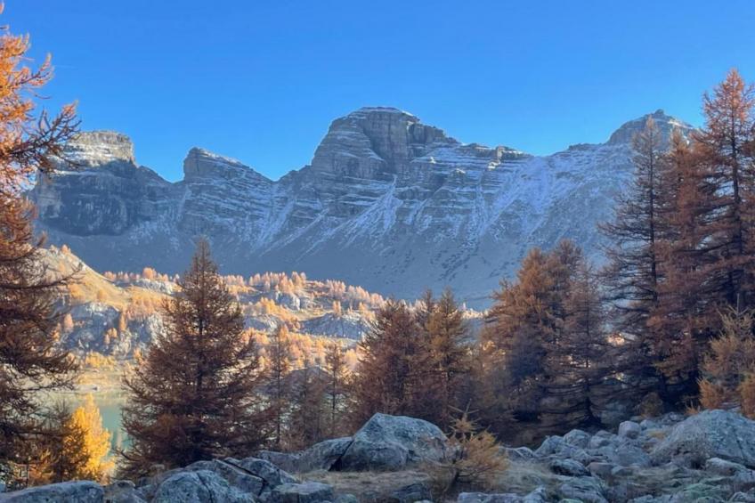 Les Marmottes N°14 - ST4 - foto 36