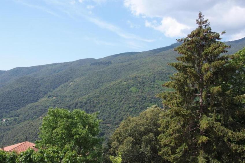 Casa El Magraner - foto 37