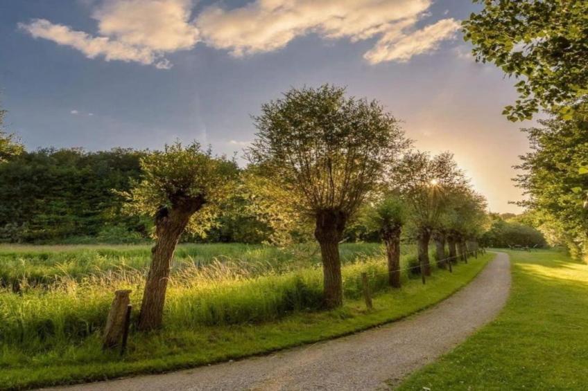 De Mattelier - foto 23