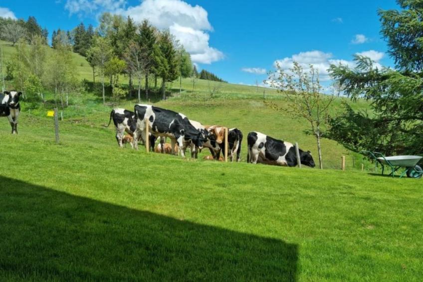 Luxus-Appartement in Kappel - foto 19