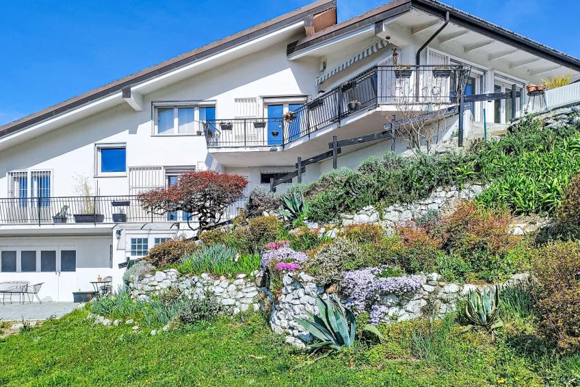 Ostendaise - foto 28