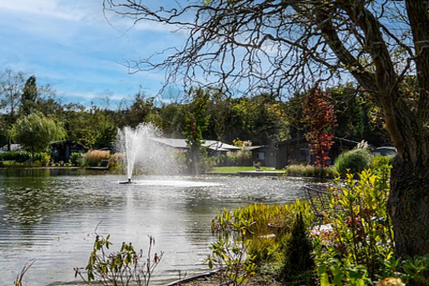 Vakantiepark Molenvelden 11 - foto 24