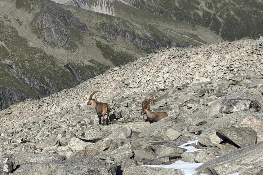 Gernkogelblick - foto 24