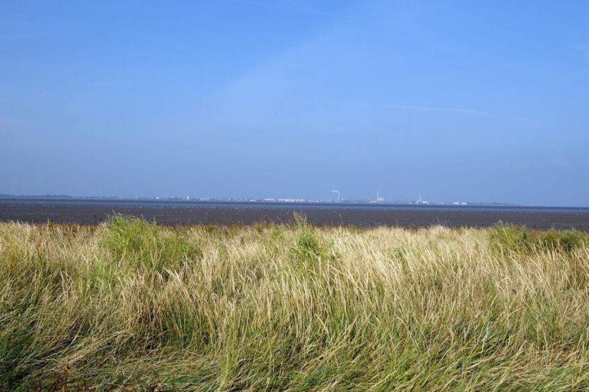 475950 - foto 20