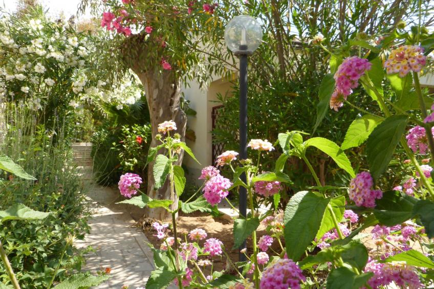 La Perla 8 - foto 40