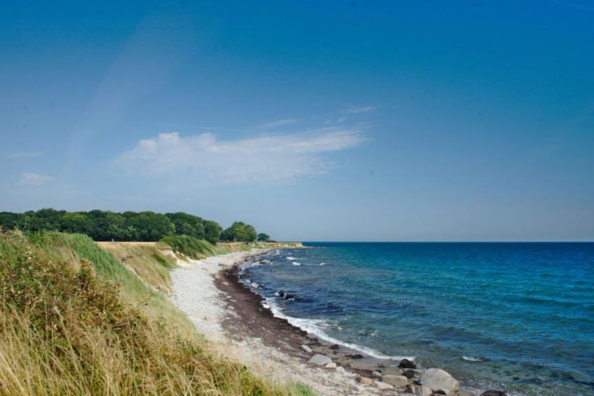 Landhaus auf Fehmarn - foto 18