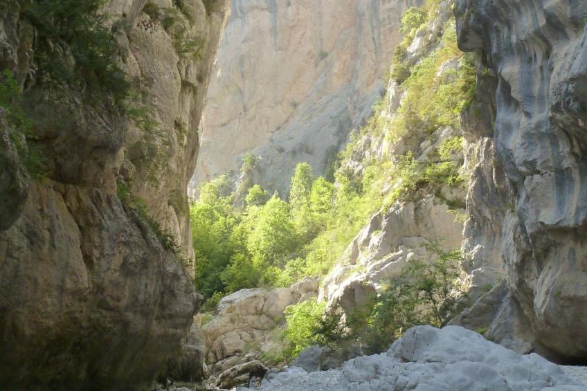 les amandiers - foto 37