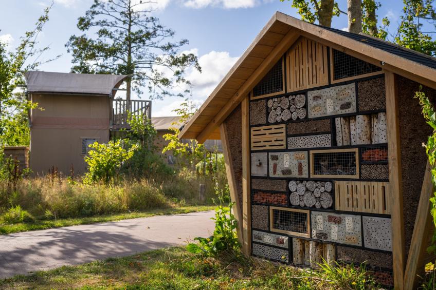 Glamping Resort Lauwersmeer 1 - foto 37