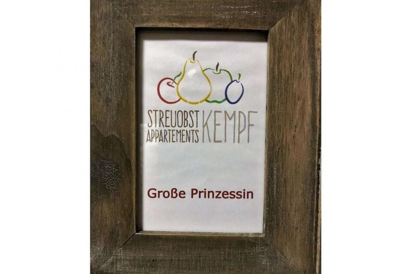 118079 - foto 29
