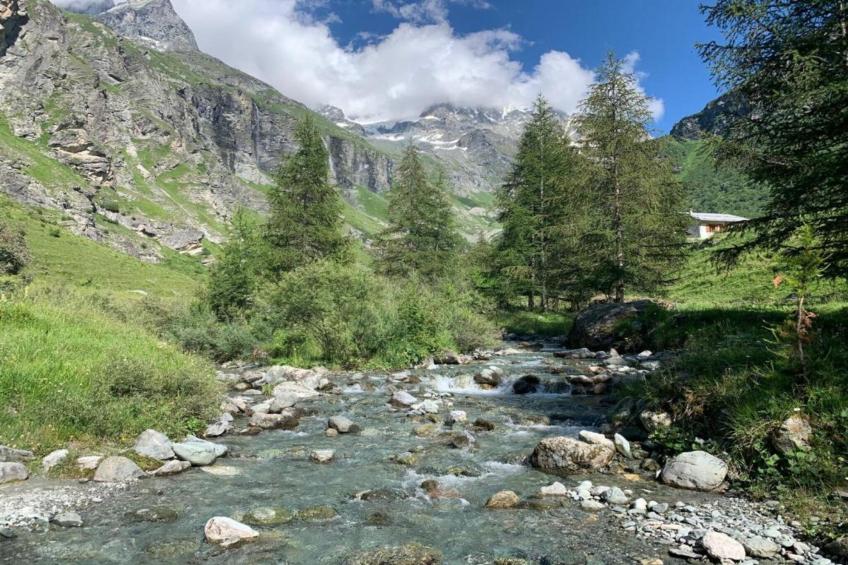 Chalet Ponturin - foto 34