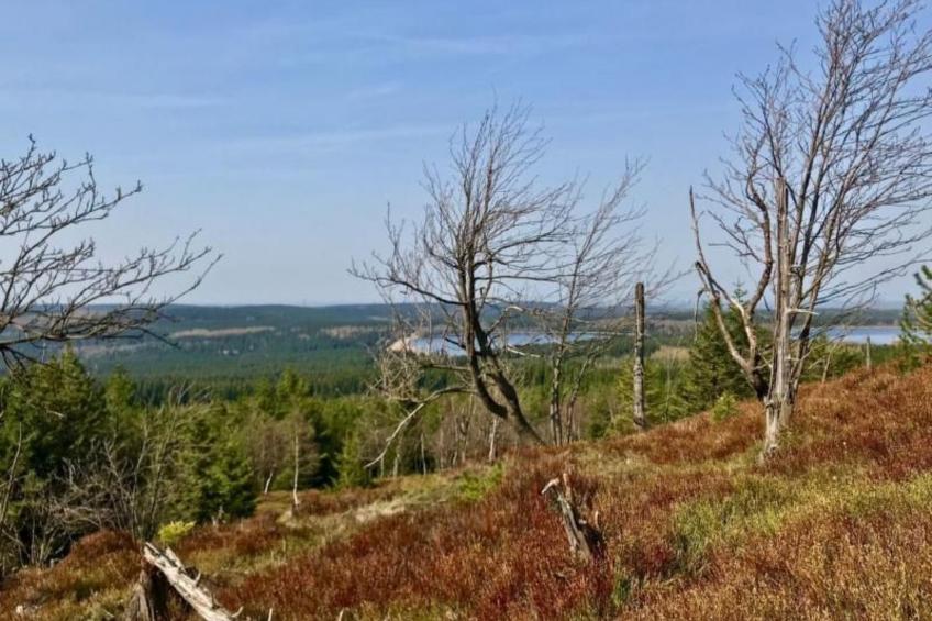 Fewo Natur und Kunst - foto 44