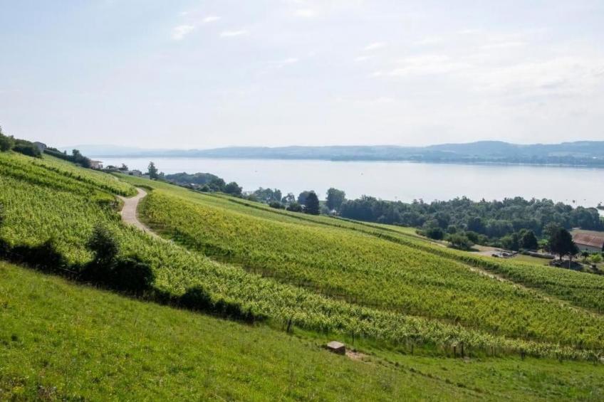 Gästehaus mit See- und Weitblick - foto 17