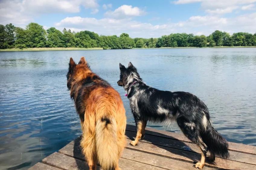 Seeresidenz - foto 14