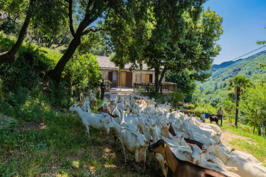 Gîte de France Gîtes de france 4/6 personnes à campéménard 2 épis - foto 16