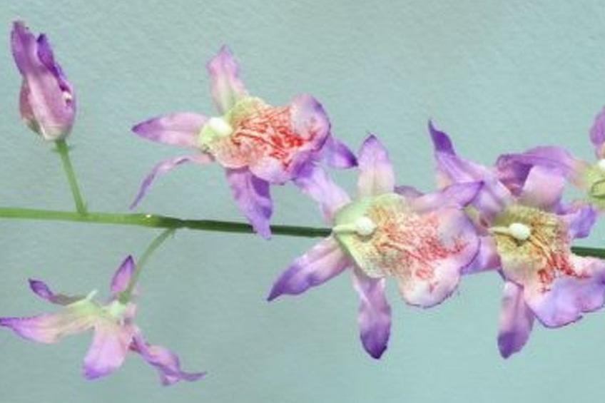 La Palmita mit Meerblick - foto 12