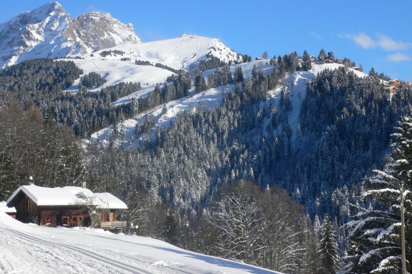 Chalet Shambala - foto 47