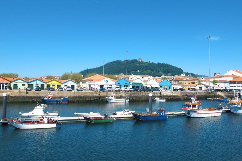 Stilvolle Villa in Viana do Castelo - foto 42