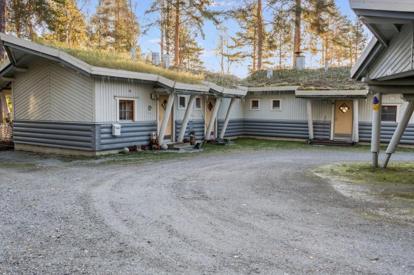 Kulta-käkönen 17 by bomba - foto 15