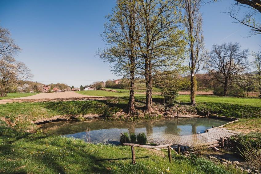 Cozy Luxe Holiday Home with Natural Thermal Bath - Seven Bedroom Holiday Home - foto 42