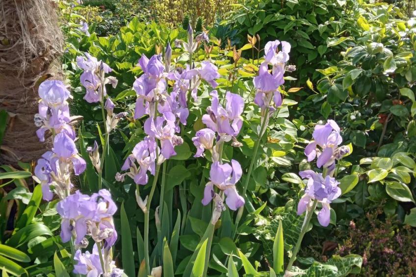 LES CHARMILLES - foto 2