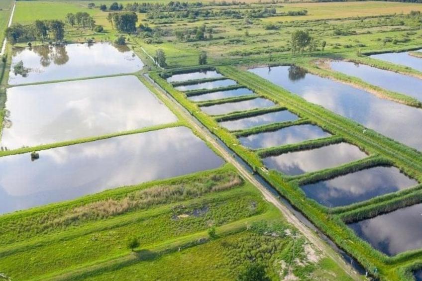 in Linum mit Garten, Terrasse und Grill - foto 21