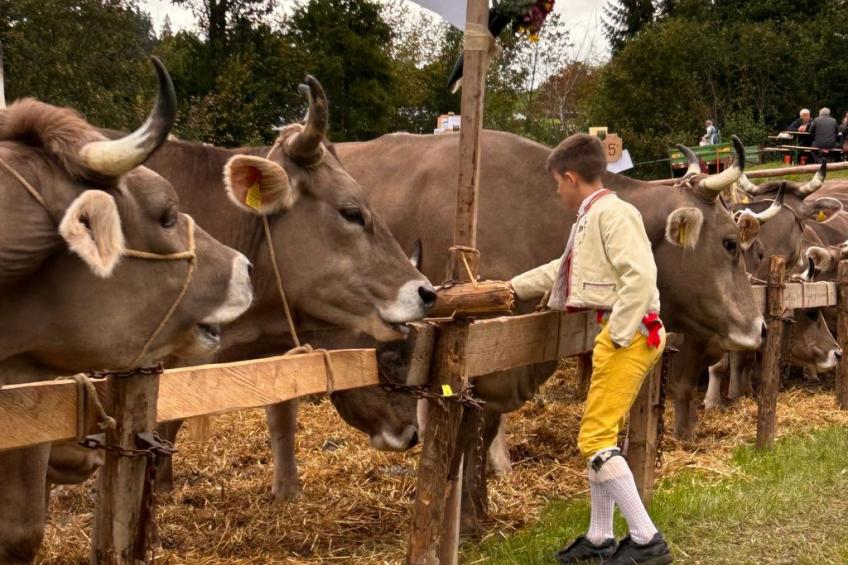 Sonnige Maisonette - foto 34