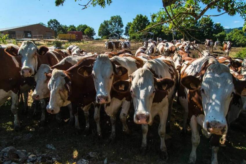 Gîte de France L'etable de pierre 4 épis - foto 31