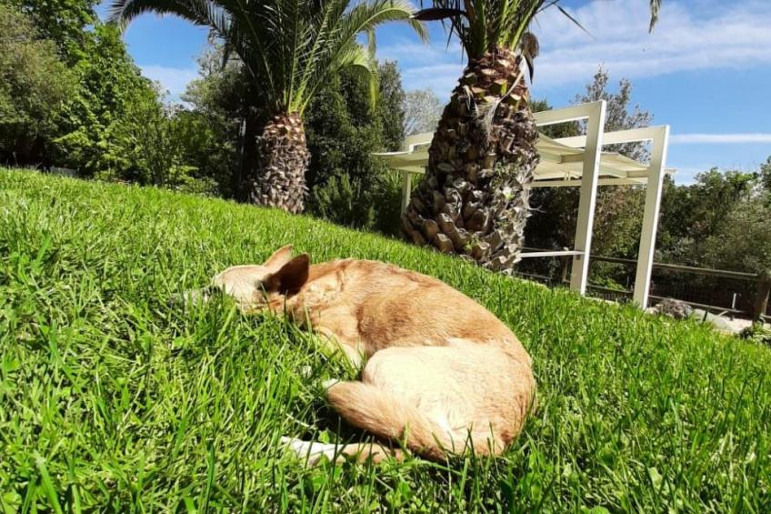 Drei-Zimmer-Wohnung im Bauernhaus - foto 8