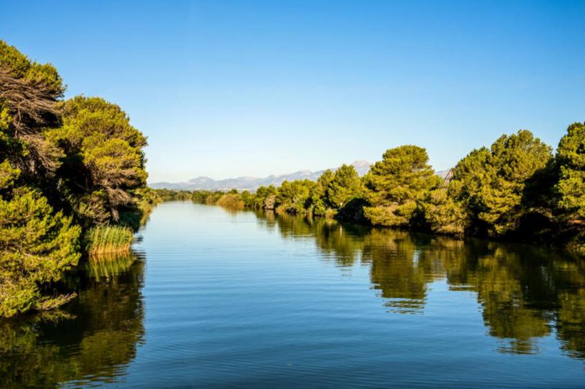 Maison à Llucmajor - foto 31