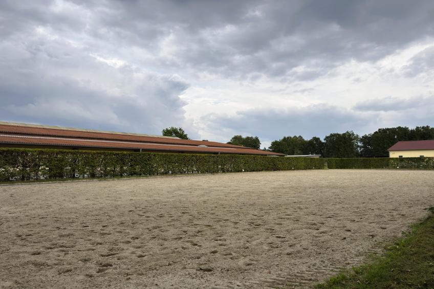 Lüneburger Heide - foto 30