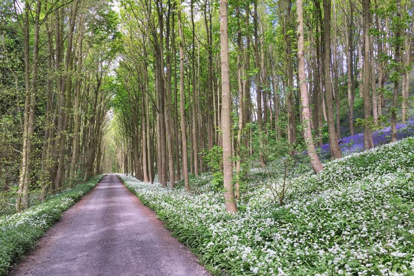 Ingleby Manor - South Front - foto 2