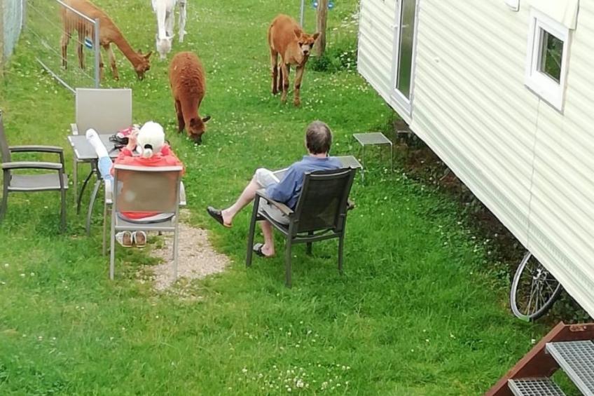 Eifel Domizil - foto 5