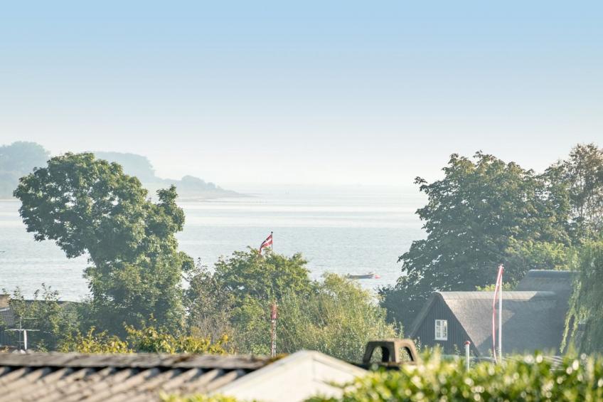 "Florencia" - 200m from the sea in SE Jutland - foto 4