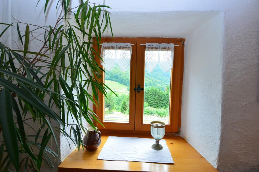 Fernblick - foto 20