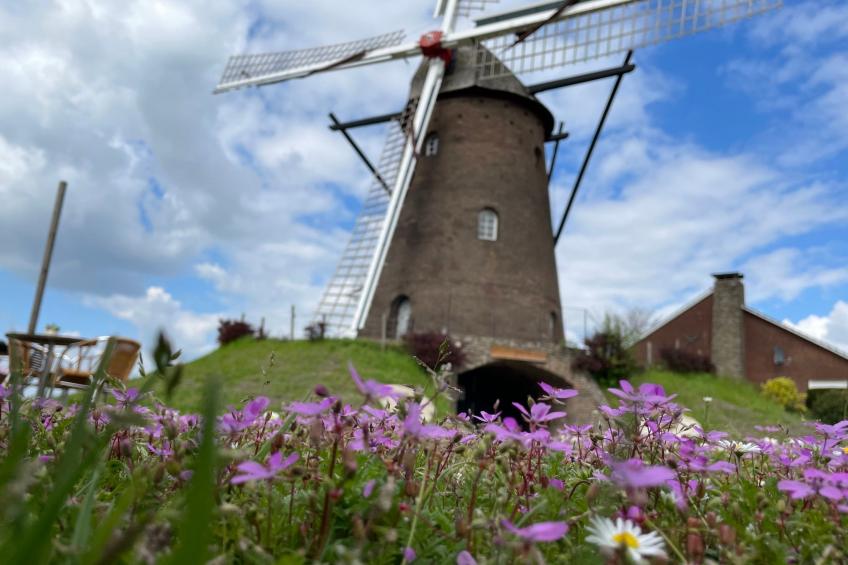 Novo Mesto - Exklusive Wellnesswohnung am Eltenberg mit Sauna und Gym - foto 16