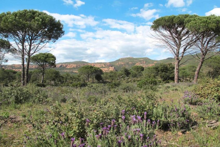 Villa Le Saint Tropez - foto 31
