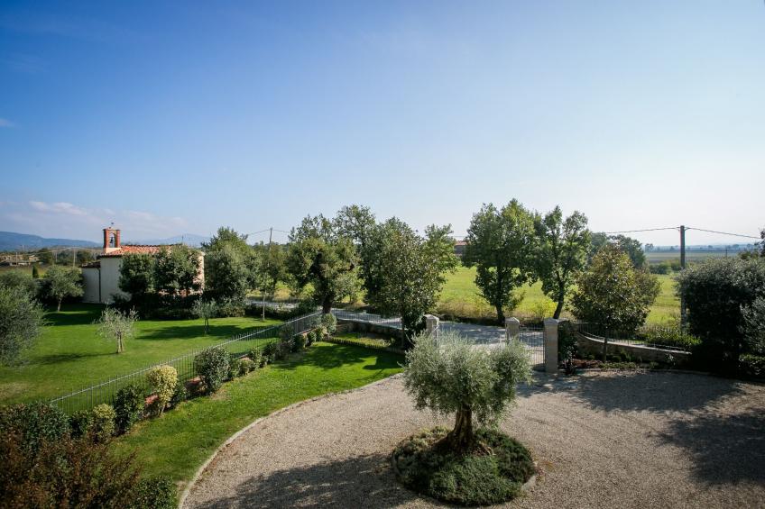 Leopoldina - foto 39