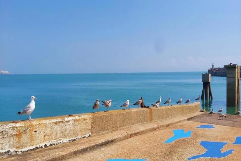 Golden Swan House - foto 29