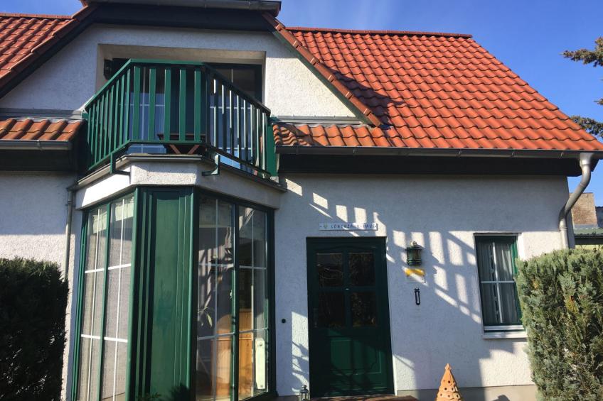 Löwenzahn mit Holu - foto 3