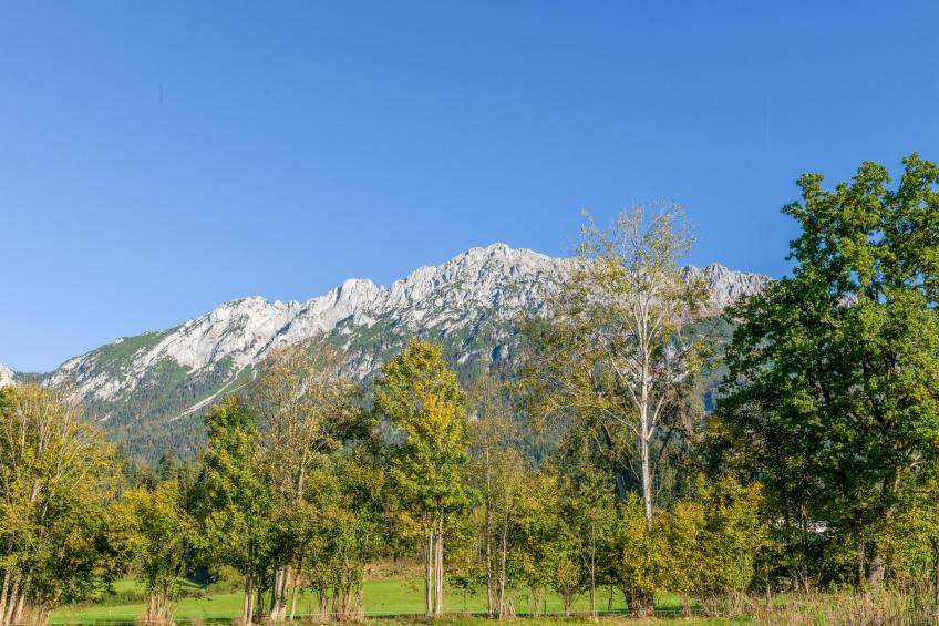 Pension Blaiken L - foto 38