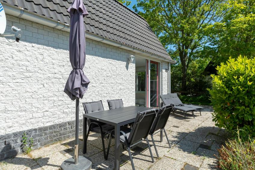 Campanula 52 - foto 7