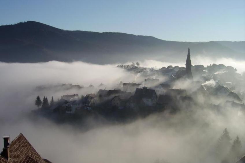 Am Keschtewaeldele - foto 25