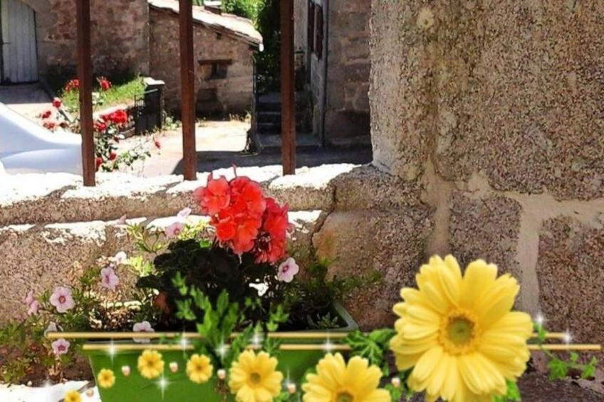 Gîte de France La maison d'alphonse 4 personnes 3 épis - foto 21