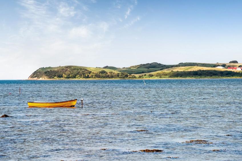 "Varma" - 25m from the sea in Sealand - foto 3