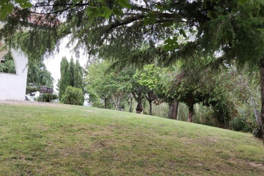 'Dear Peace on the Hill - foto 11