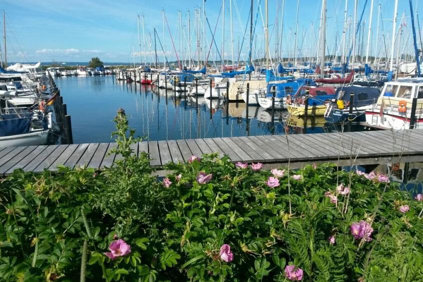 118955 - foto 39