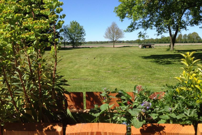 in Wolterdingen mit Eigener Terrasse - foto 5