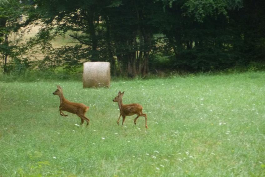 Komfort, Ruhe, privater Pool, EV-Ladestation - foto 19