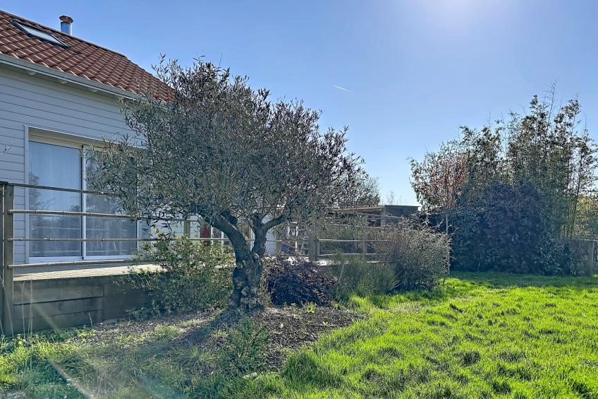 Les Rainettes - foto 5